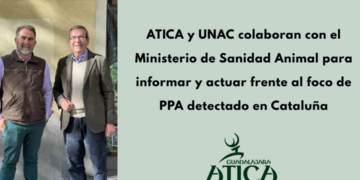 ATICA y UNAC colaboran con el Ministerio de Sanidad Animal para controlar el foco de PPA en Cataluña