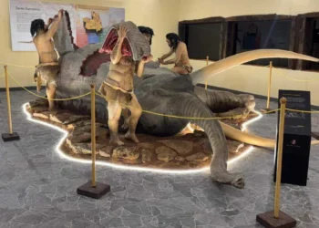 Tamajón convierte la Prehistoria en experiencia educativa con su 'banquete paleolítico'