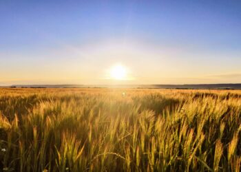 Ganadores Concurso de Fotografía Calendario 2026 en Quer: Ana María Antolinez y Carlos Carrasco