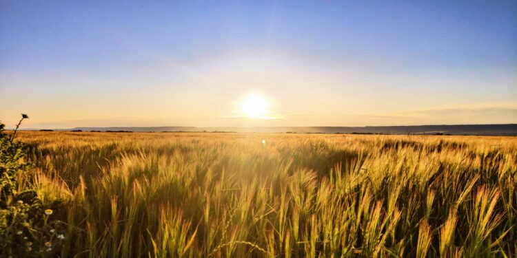 Ganadores Concurso de Fotografía Calendario 2026 en Quer: Ana María Antolinez y Carlos Carrasco