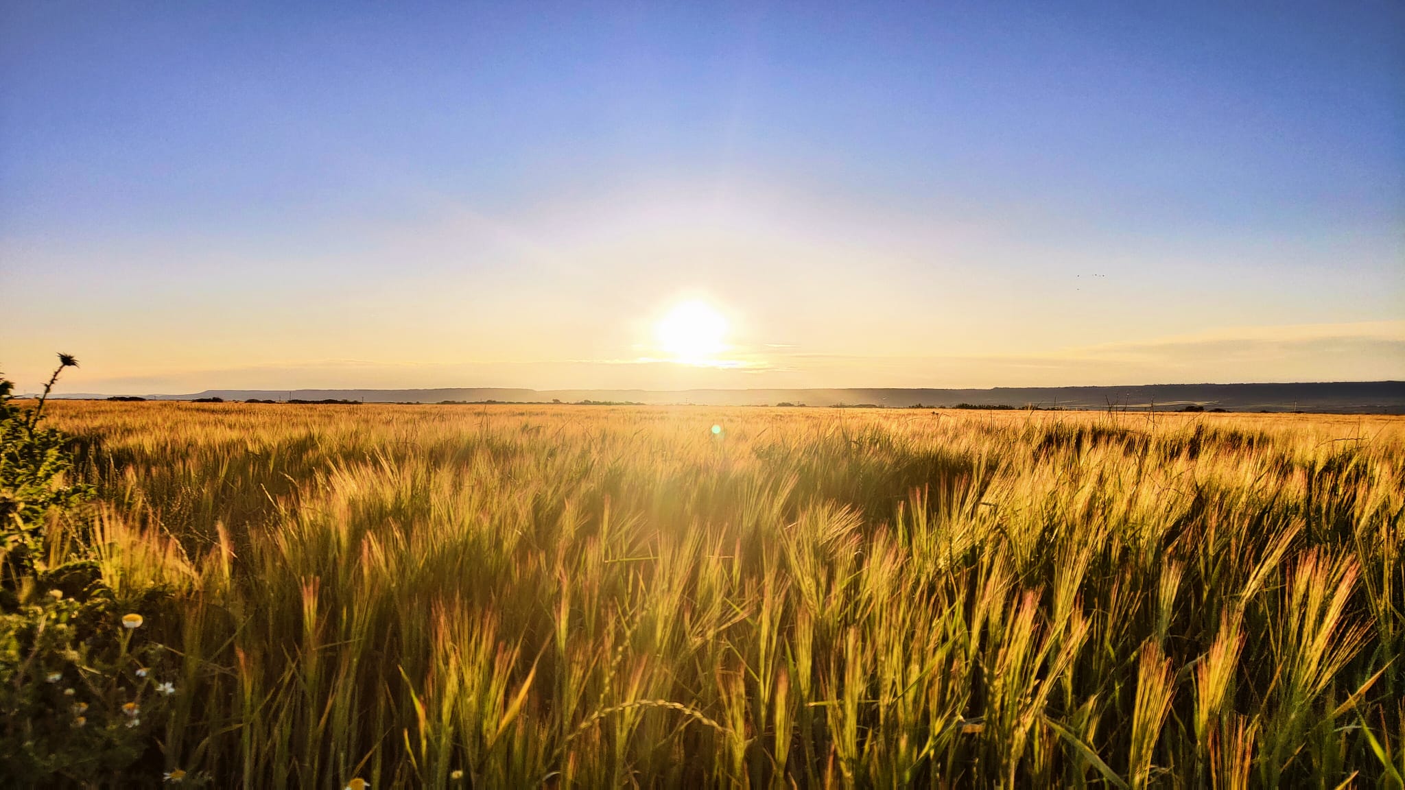 Ganadores Concurso de Fotografía Calendario 2026 en Quer: Ana María Antolinez y Carlos Carrasco