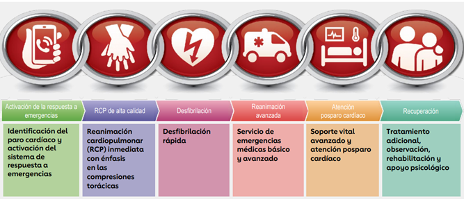 España mejora la supervivencia en paradas cardiorrespiratorias extrahospitalarias y supera la media europea