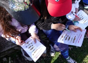 Más de 750 escolares aprenden la importancia del buitre negro en el Sistema Ibérico Sur