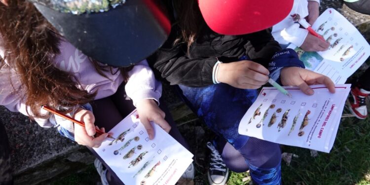 Más de 750 escolares aprenden la importancia del buitre negro en el Sistema Ibérico Sur