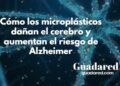 Microplásticos y su impacto en el cerebro: 5 formas en que dañan la salud cerebral y aumentan el riesgo de Alzheimer