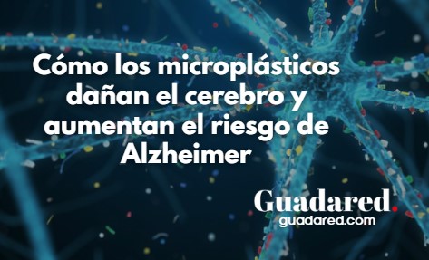 Microplásticos y su impacto en el cerebro: 5 formas en que dañan la salud cerebral y aumentan el riesgo de Alzheimer