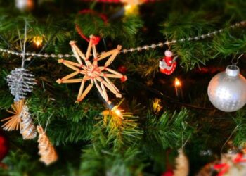 Agenda completa de la Navidad en Fundación Ibercaja Guadalajara: talleres, cocina y manualidades del 11 al 30 de diciembre