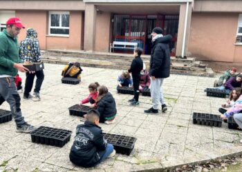 Reforestación en Espinosa de Henares: Niños y Agricultores Plantan el Futuro de sus Montes