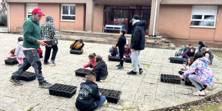 Reforestación en Espinosa de Henares: Niños y Agricultores Plantan el Futuro de sus Montes