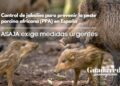 Control de jabalíes para prevenir la peste porcina africana (PPA) en España: ASAJA exige medidas urgentes