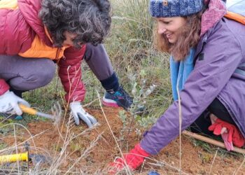 AIKE organiza jornada de plantación de quejigos en Peña Hueva este sábado 13 de diciembre
