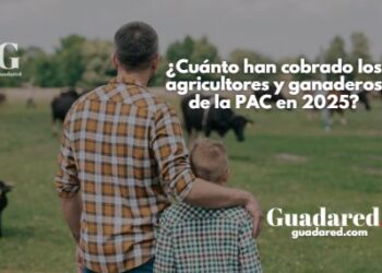 Pagos de la PAC 2025: ¿Cuánto han cobrado los agricultores y ganaderos en España?