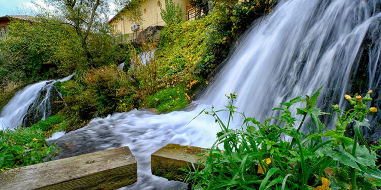 Tri(ll)o Mágico’ de Eduardo Bonilla gana el Primer Premio General del IX Concurso de Fotografía de Trillo y comarca