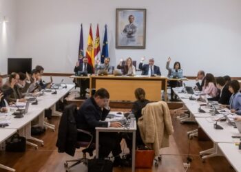 Último Pleno del Año en Guadalajara: Economía, Urbanismo y Moción sobre Autónomos