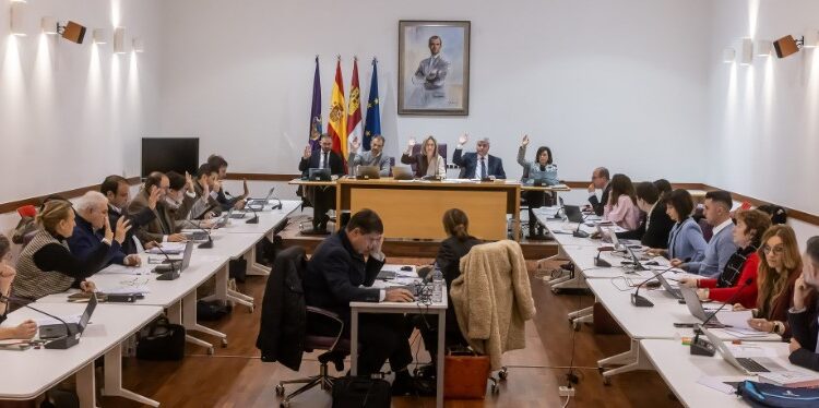 Último Pleno del Año en Guadalajara: Economía, Urbanismo y Moción sobre Autónomos