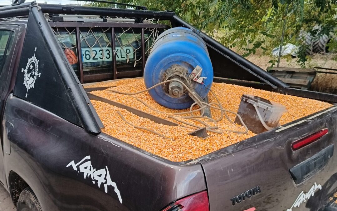 ATICA retoma sus labores de apoyo a la fauna en el Pico del Lobo tras el incendio