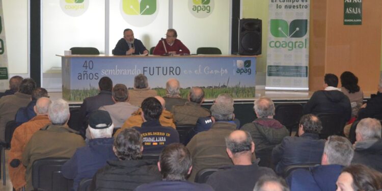 APAG pide tratar a los conejos como plaga en Guadalajara por daños económicos y riesgos sanitarios