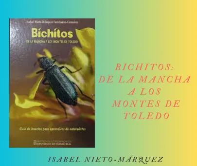 Bichitos de La Mancha a los Montes de Toledo: un libro para descubrir el fascinante mundo de los insectos