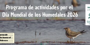 Día Mundial de los Humerales 2026