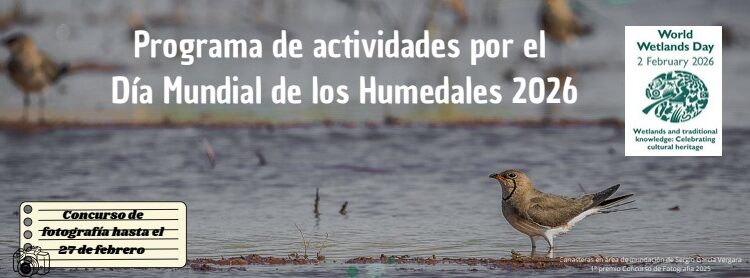 Día Mundial de los Humerales 2026
