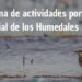 Día Mundial de los Humerales 2026