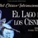 Conciertos y ballet clásico en el Teatro Auditorio Buero Vallejo de Guadalajara para arrancar el año