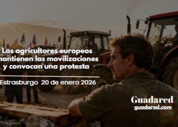 Los agricultores europeos mantienen las movilizaciones y convocan una protesta en Estrasburgo el 20 de enero