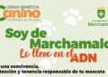 Marchamalo implanta el Censo Genético Canino obligatorio para todos los perros del municipio