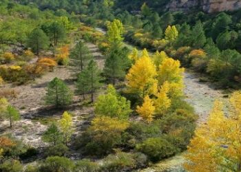 Castilla-La Mancha Refuerza la Seguridad en Áreas Protegidas con Desfibriladores y Formación Especializada