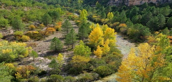 Castilla-La Mancha Refuerza la Seguridad en Áreas Protegidas con Desfibriladores y Formación Especializada