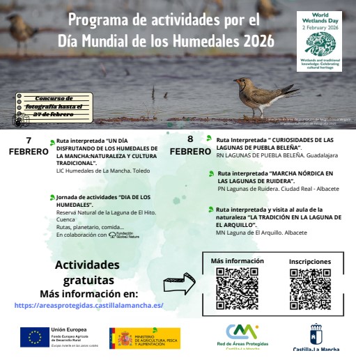 El Día Mundial de los Humedales 2026 se celebra en Castilla-La Mancha con rutas, actividades y un concurso de fotografía