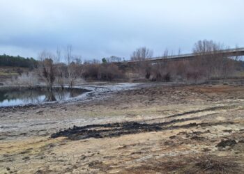 Asociación de Municipios Ribereños alerta por trasvase Tajo-Segura y sequía en Entrepeñas y Buendía