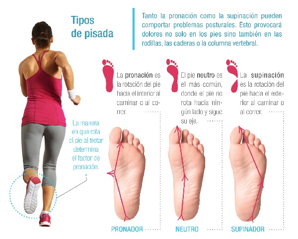 ¿Pronador o supinador?