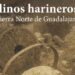 Océano Atlántico Editores lanza un libro sobre molinos harineros de la Sierra Norte de Guadalajara