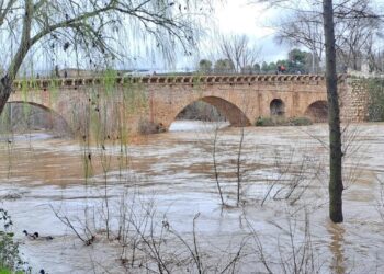 El Ayuntamiento de Guadalajara limita el acceso al Paseo Fluvial por la crecida del río Henares