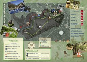 Paseo por el Bosque de Valdenazar