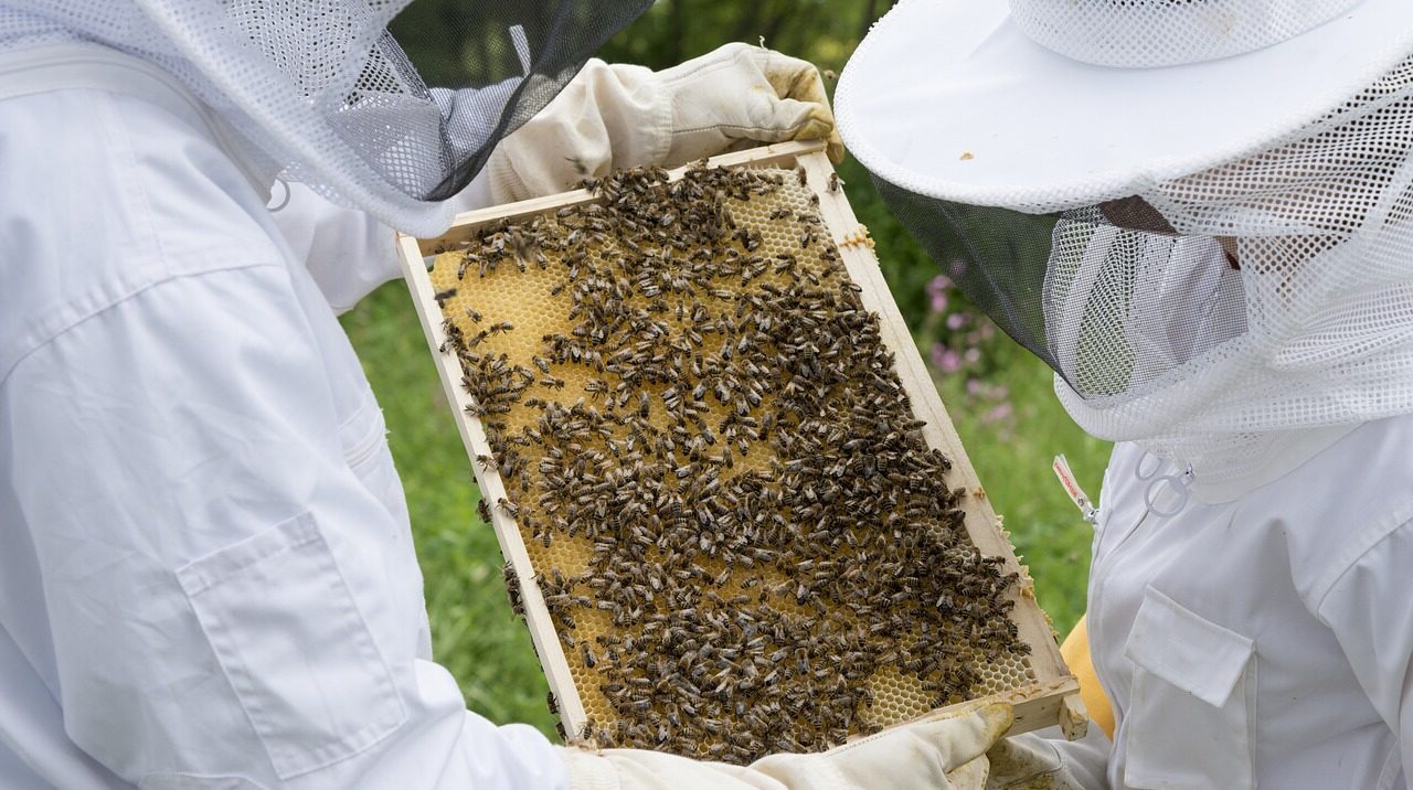 Agroseguro confirma que 2022 estuvo marcado por la sequía y daños de fauna en Guadalajara