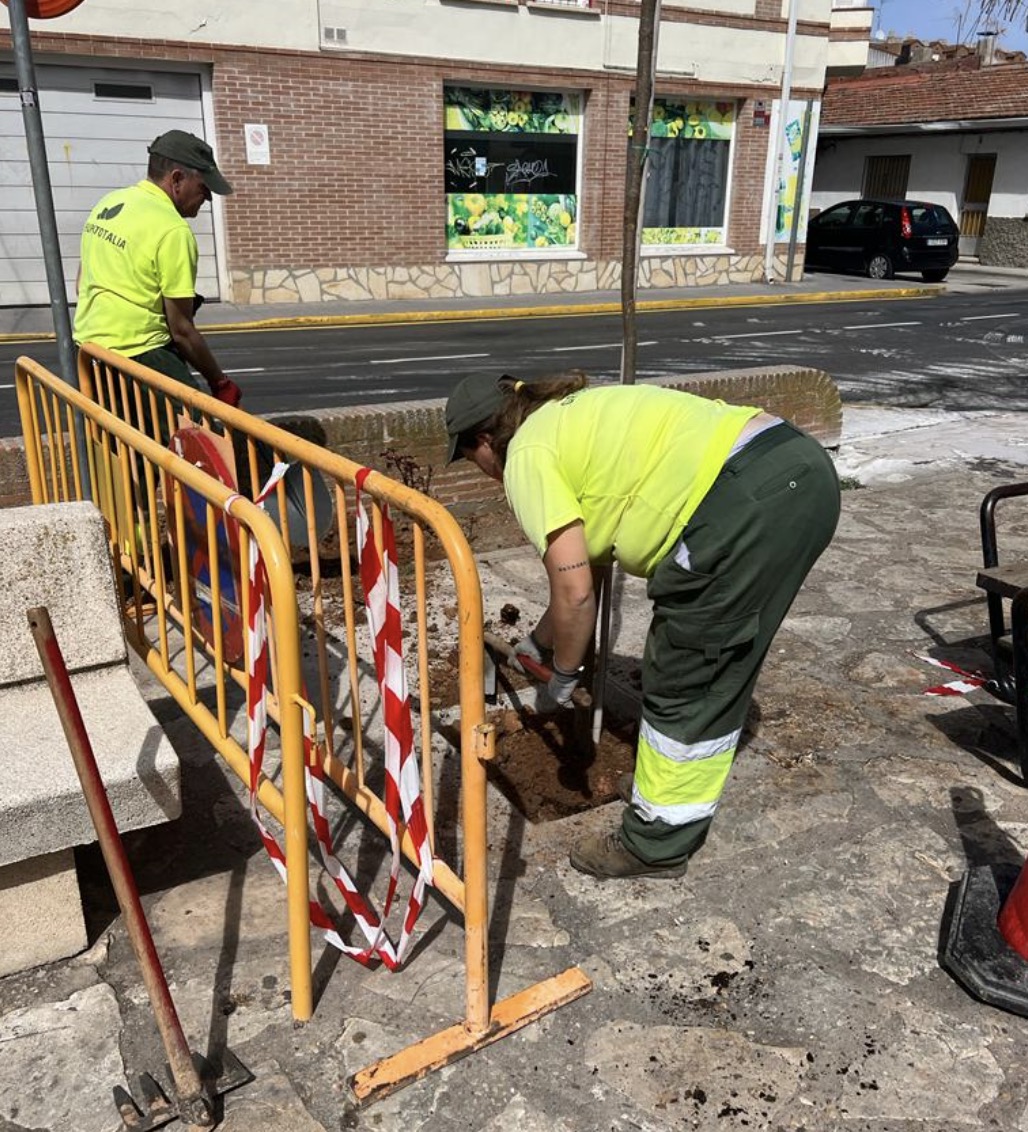 El Ayuntamiento de Alovera amplía la iniciativa UN NIÑ@ UN ÁRBOL para los nacidos durante la pandemia