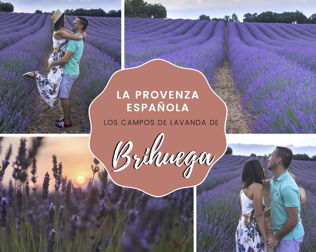 El 68% de las ayudas agroambientales para plantas aromáticas de la Junta las recibe la provincia de Guadalajara