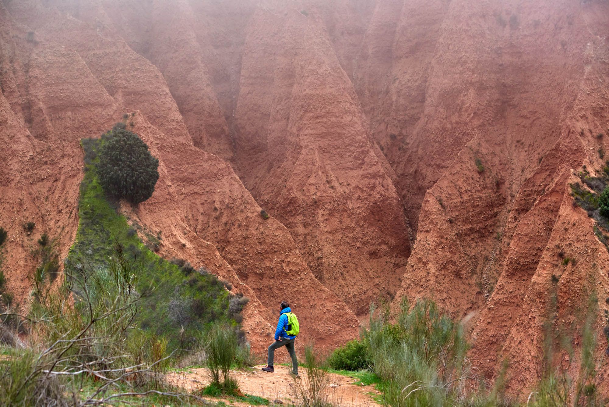 Carcavas de El Ponton de la Oliva