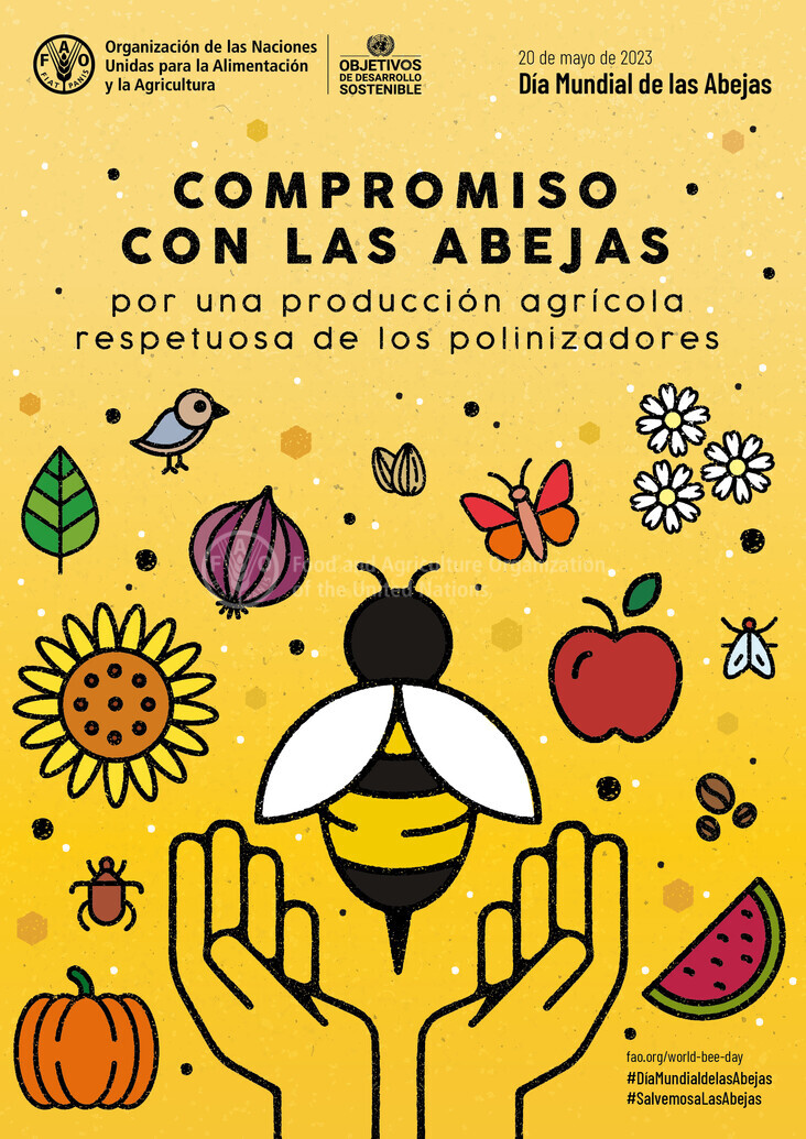 Crisis en el Día de las Abejas: Sequía, Varroa y Costes Amenazan a los Apicultores