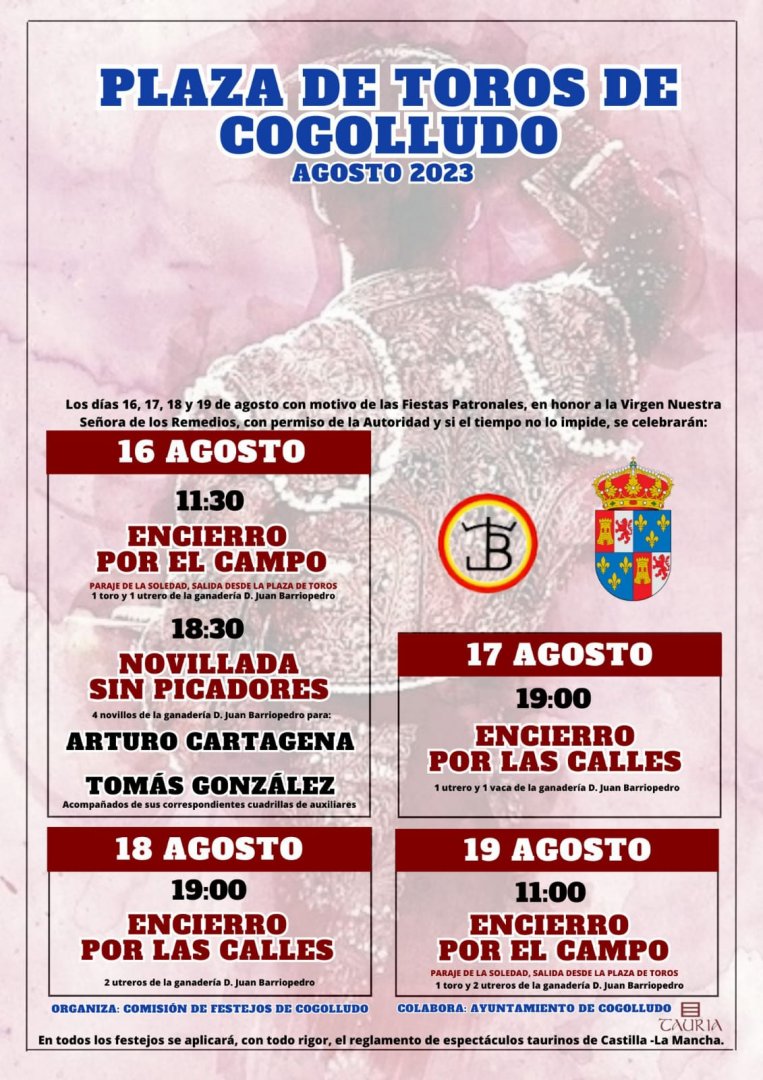 Tradicional Fiesta de la Virgen de los Remedios en Cogolludo: Devoción y Procesión Centenaria