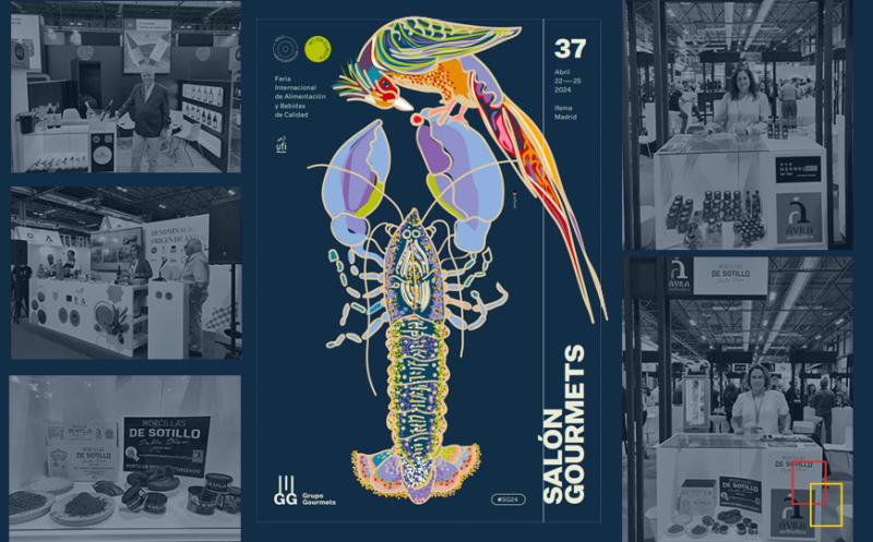 Convocatoria de Ayudas para Salón Gourmets 2024 en Castilla-La Mancha