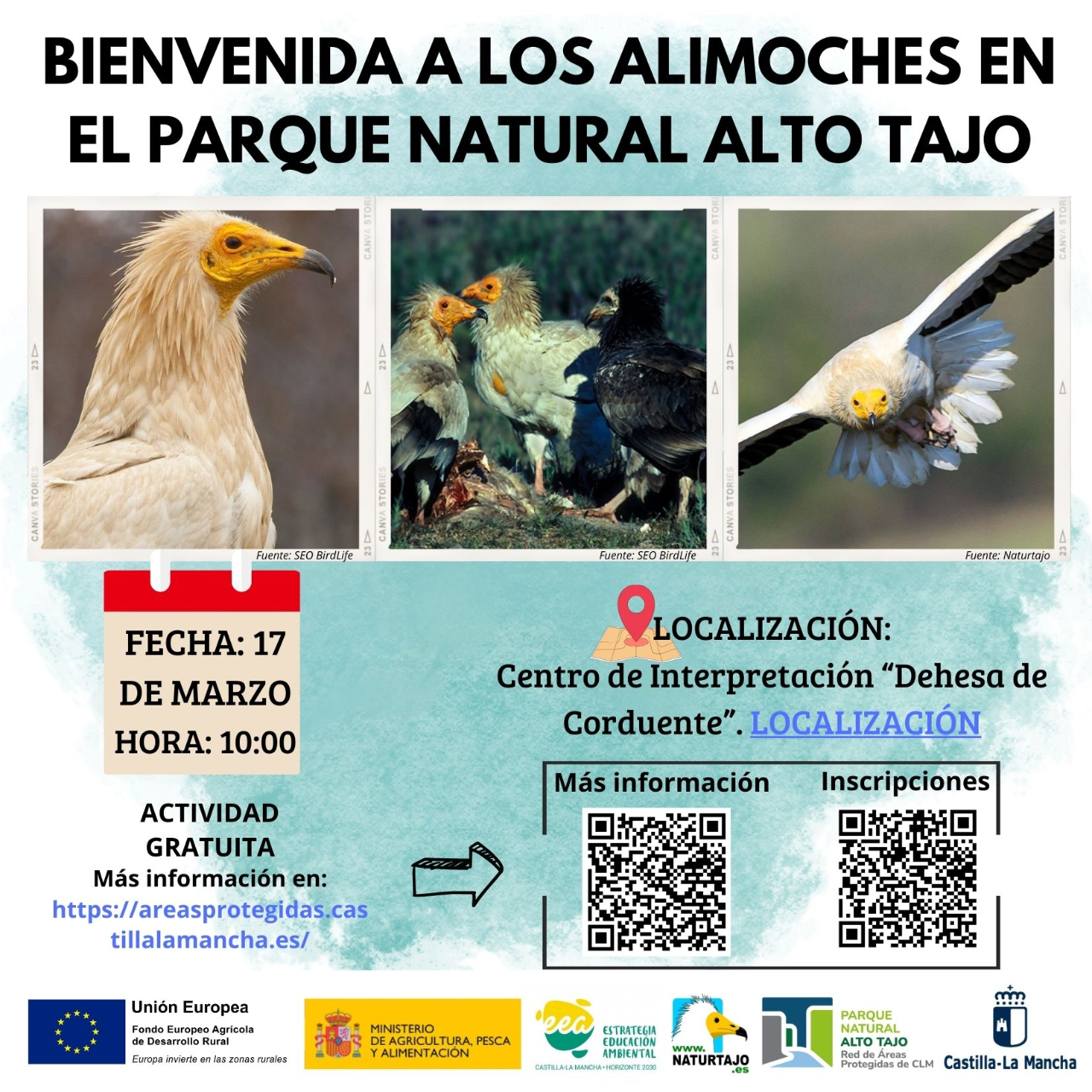 Descubre la Fascinante Vida de los Alimoches en el Parque Natural Alto Tajo