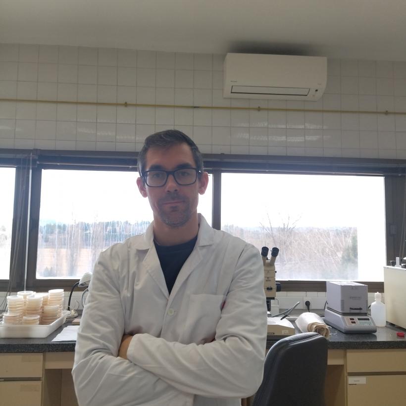  Proyectos Agrícolas Sostenibles en Castilla-La Mancha: Bienestar de las Abejas y Desarrollo de Plantas Aromáticas