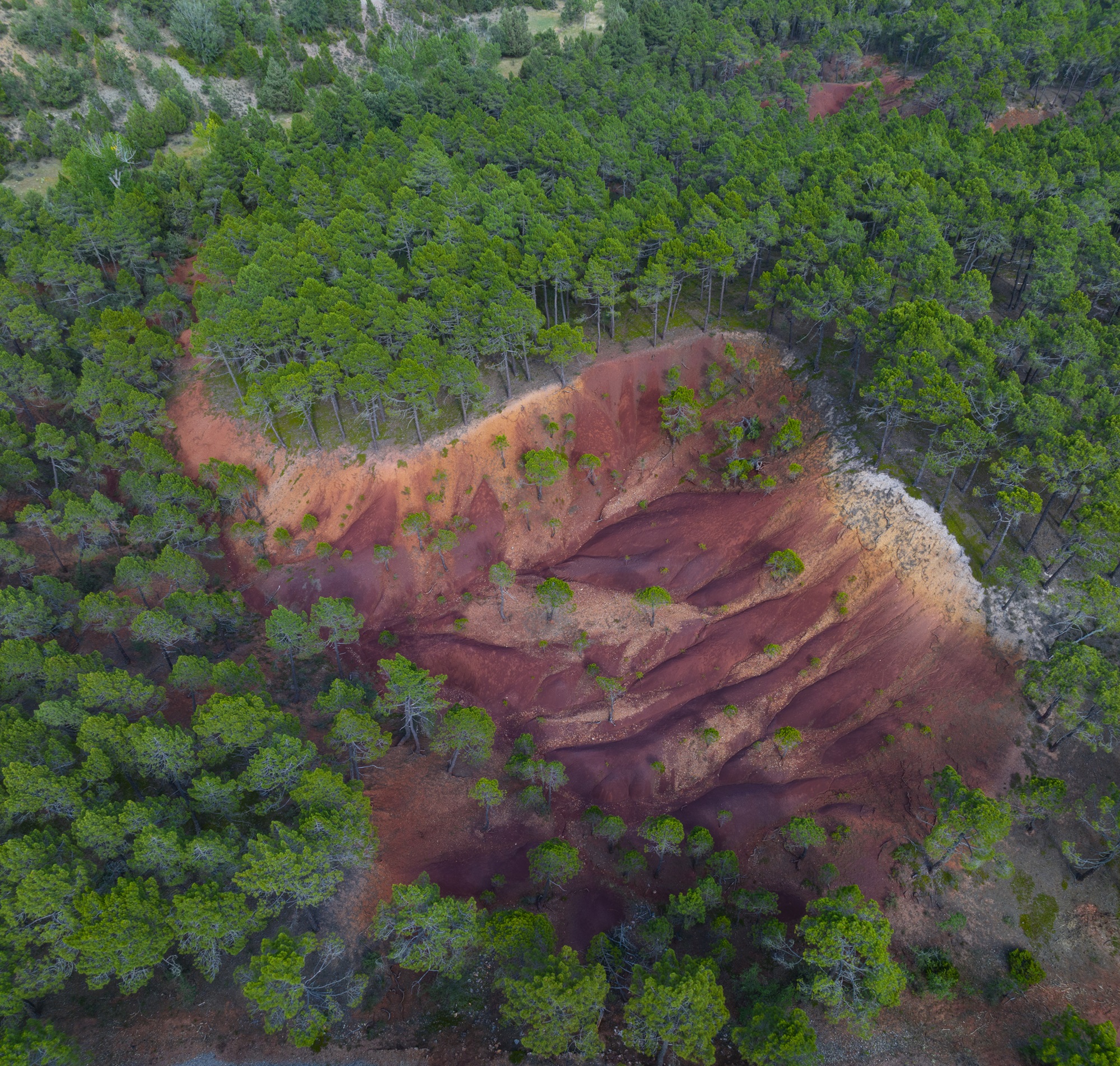 ista aérea en el Alto Tajo (Guadalajara), una de las áreas donde trabaja Rewilding Spain (Juan Carlos Muñoz / Rewilding Europe)
