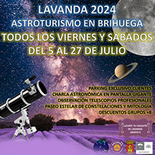 ¡Festival de la Lavanda 2024 en Brihuega! Conciertos de Maldita Nerea y Rozalén