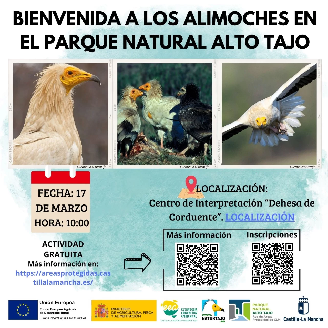 Descubre la Fascinante Vida de los Alimoches en el Parque Natural Alto Tajo