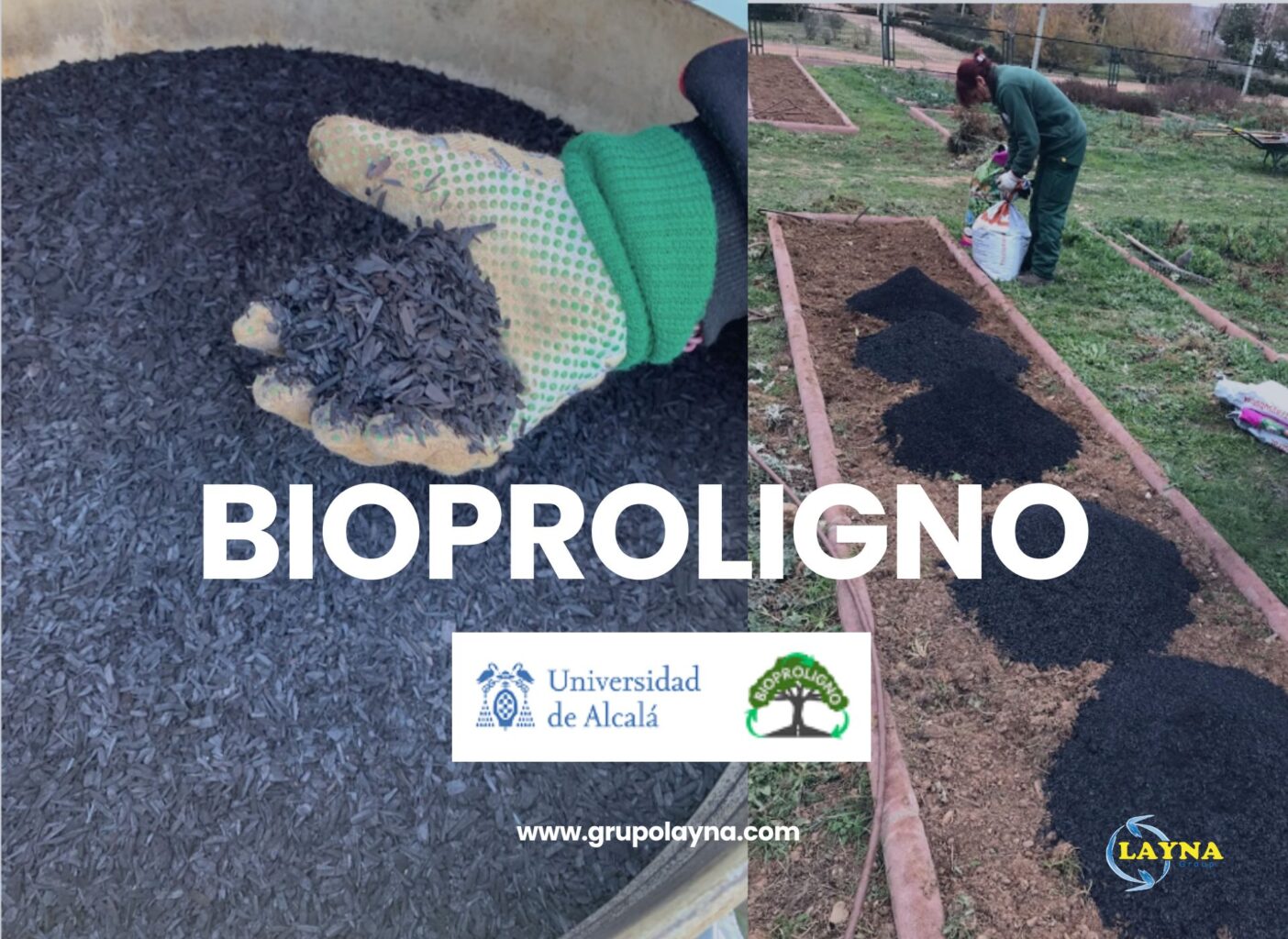 BIOPROLIGNO: Transformando Podas Urbanas en Bioproductos Innovadores