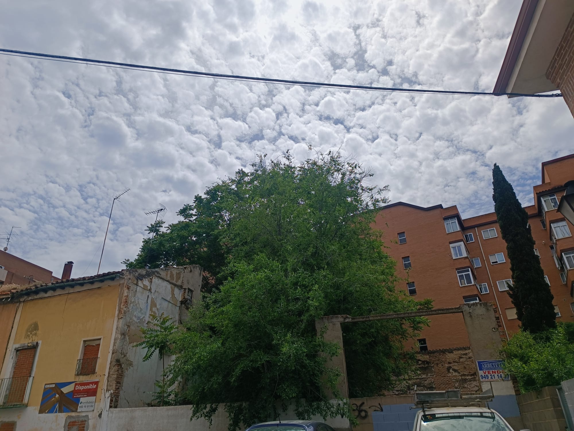 Guadalajara: Obligación de Mantener Solares Urbanos Limpios y Seguros – Ayuntamiento Advierte Sanciones